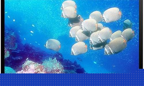 海信电视保修期多久-海信电视保修期多久?