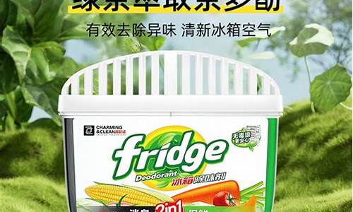 冰箱除味推荐-冰箱除异味哪款产品好