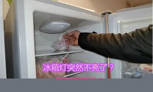 冰箱突然不制冷了灯还亮着压缩机不工作-冰箱突然不制冷了灯还亮着