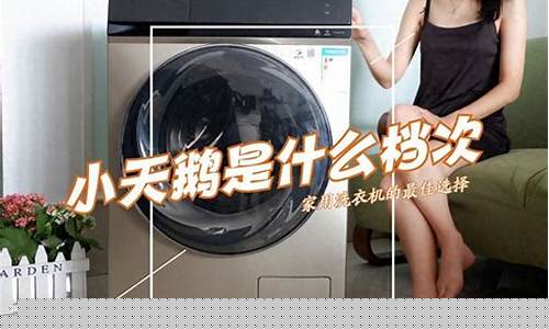 小天鹅属于什么档次-小天鹅和海尔建议买哪个