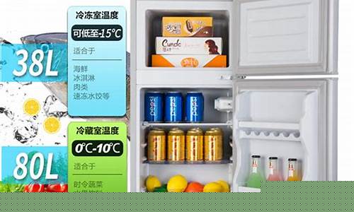 家用小冰箱厂家直销-家用小冰箱厂家