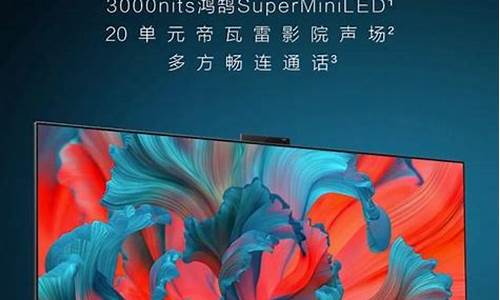 华为电视机65寸多少钱-华为电视机65寸多少钱啊