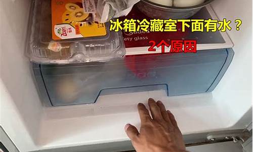 冰箱冷藏室有水原因-冰箱冷藏室有水是怎么回事儿?