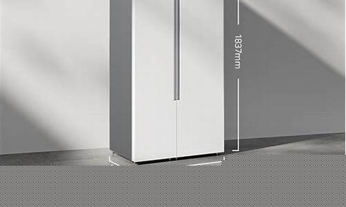 双开门家用冰箱-双开门家用冰箱多大功率
