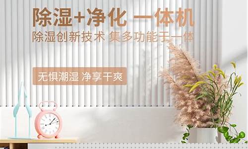 安诗曼除湿机-安诗曼除湿机厂家