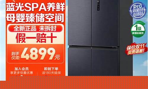 电冰箱 价格-大型电冰箱价格