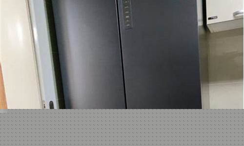 哪个品牌的冰箱质量好又省电-哪个品牌的冰箱质量好