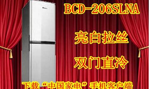 小天鹅冰箱2007广告-小天鹅冰箱206