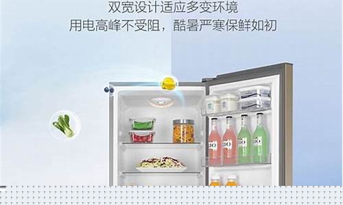 海尔双门冰箱的价格-海尔双门冰箱报价