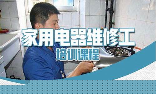 家用电器维修丛书-家用电器维修工论文