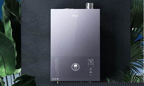 家用燃气热水器什么牌子的好-家用燃气热水器什么牌子好用,多少升