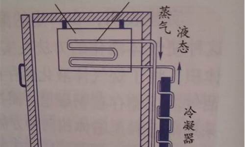 电冰箱的工作原理是什么初中所学的-电冰箱工作的原理简图