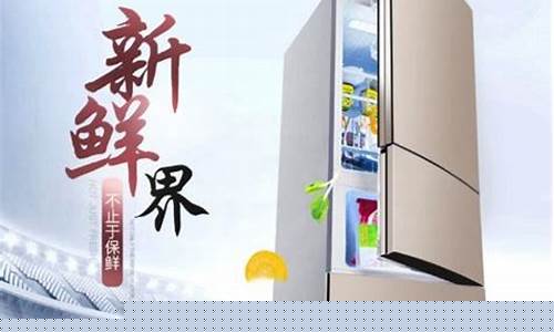 变频冰箱排行榜十大品牌-变频冰箱哪个品牌好变频冰箱排行榜