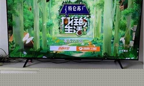 2023年电视机排行榜-2023年电视机排行榜全球