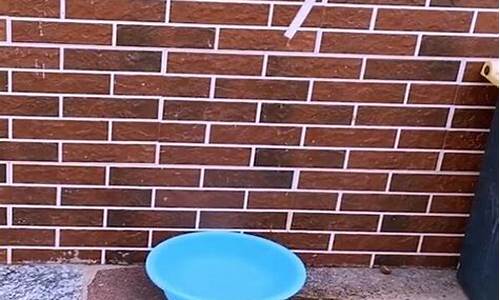 空调水能浇花或蔬菜吗视频-空调水能浇花或蔬菜吗