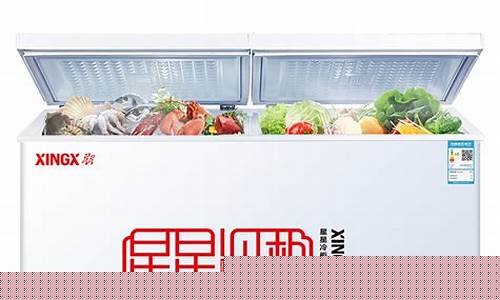 小型冰箱十大排名-小型冰箱品牌