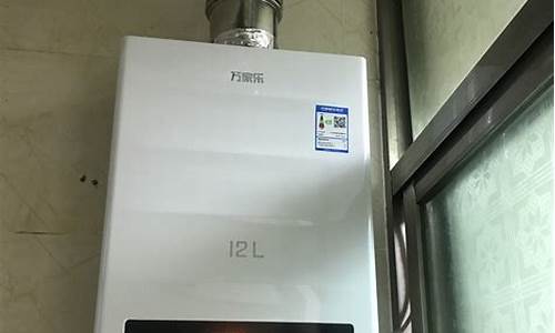 平衡式热水器哪个牌子好一点耐用-平衡式热水器哪个牌子好一点
