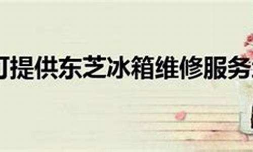 天津 东芝冰箱-天津东芝冰箱维修