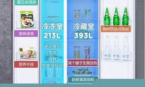 什么牌子冰箱质量好又省电又噪音小-什么品牌的冰箱好噪音小