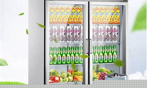 商用冰箱工厂-商用冰柜厂家
