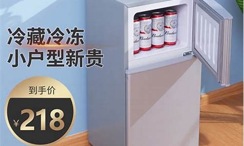 家用小冰箱500元以下什么牌子好-家用小冰箱300 500元