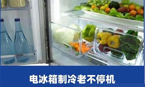 变频冰箱不停机一天三度电正常吗-变频冰箱不停机