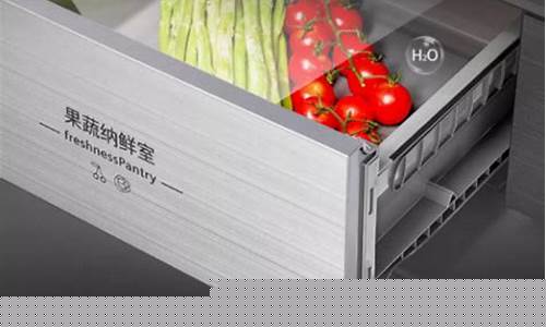 什么牌的冰箱质量好一些-什么牌冰箱质量最好的