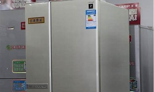 夏普冰箱bcd225wms-夏普冰箱好吗
